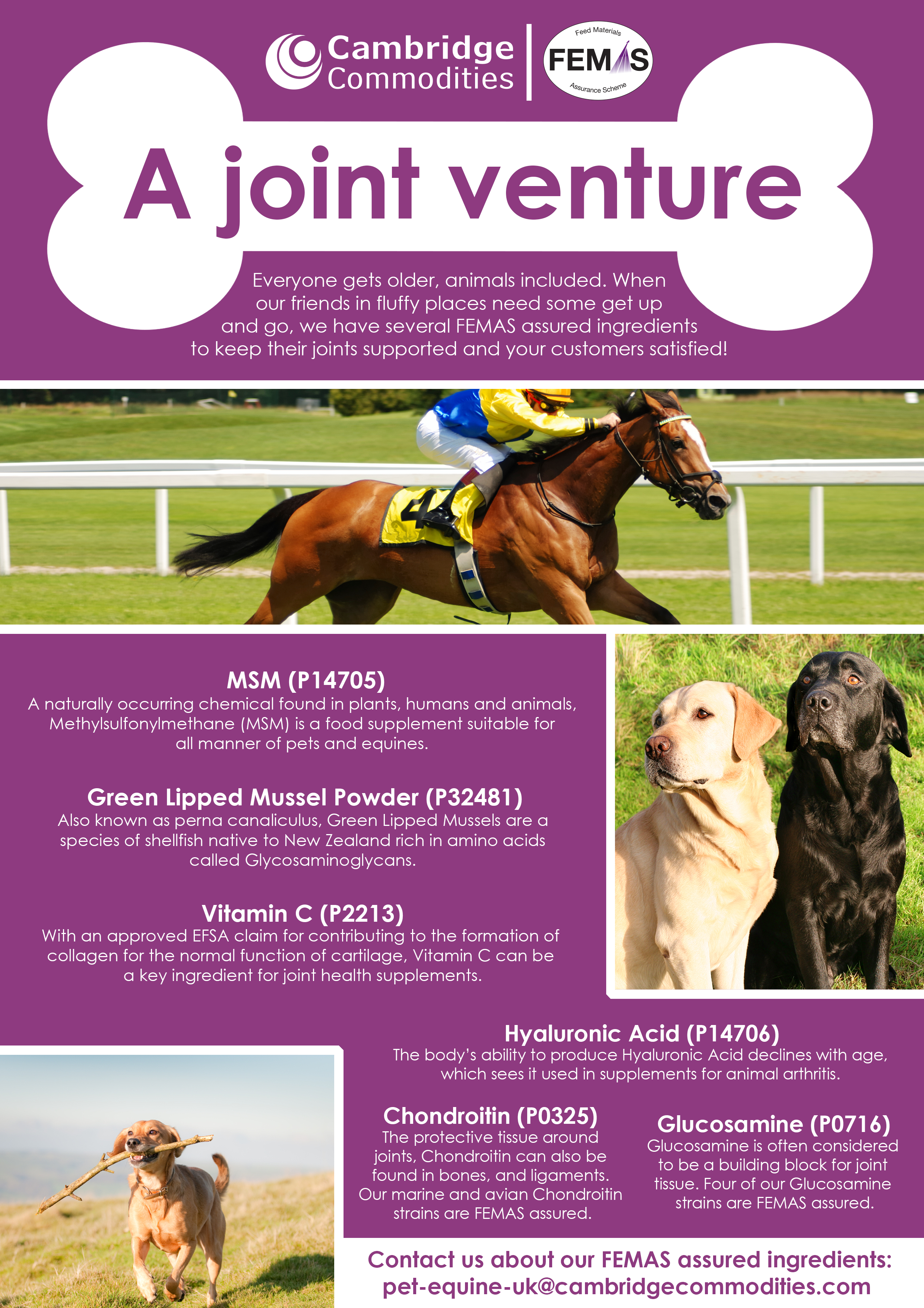 A joint venture - your guide to animal joint health with Cambridge  Commodities
