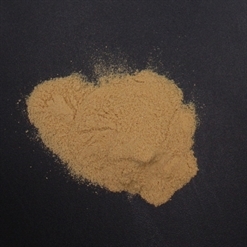 Lions mane extract 50% polysaccharides