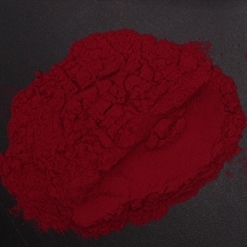 Beetroot extract 4:1